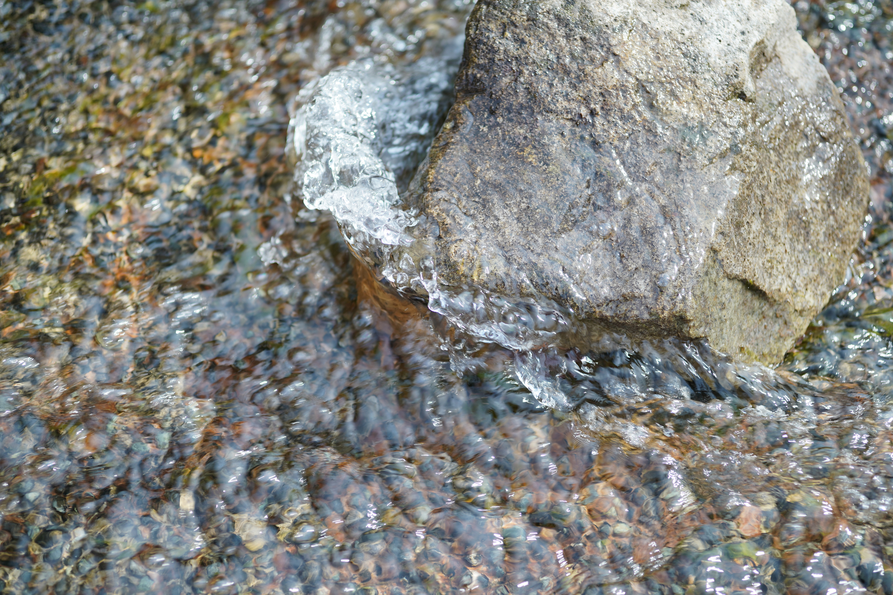 すいとぴあ江南の水面